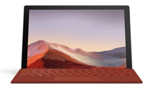龙陵清洁和维护 Surface